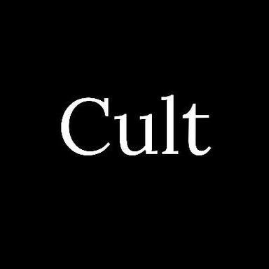Cover of Interview with Jake & Matt from Cult Magazine