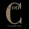 A Coup of Owls logo