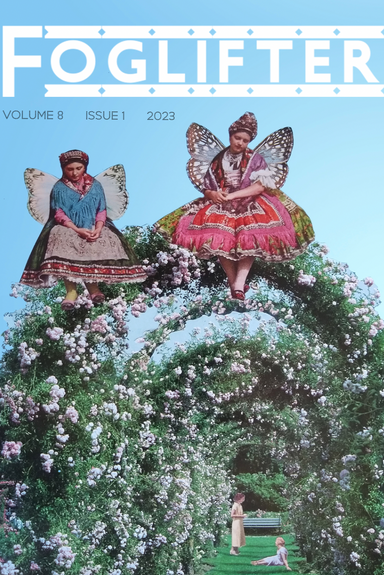 Foglifter latest issue